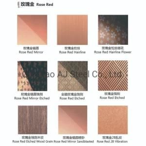 Best Price 304 PVC Laminated Mirror Stainless Steel for Refrigerator Doors