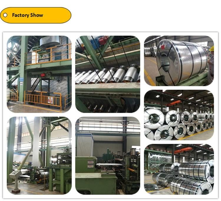 Galvanized Steel Sheets / Coils