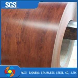 Color Coated Stainless Steel Coil with High Quality