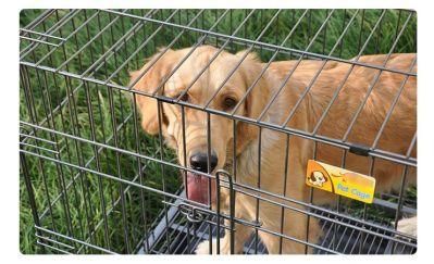 2.0mm Low Carbon Galvanized Iron Wire Welded Wire Mesh for Animal Cage