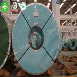 Factory Supplying 2.4669 310S Stainless Steel Shim Coils