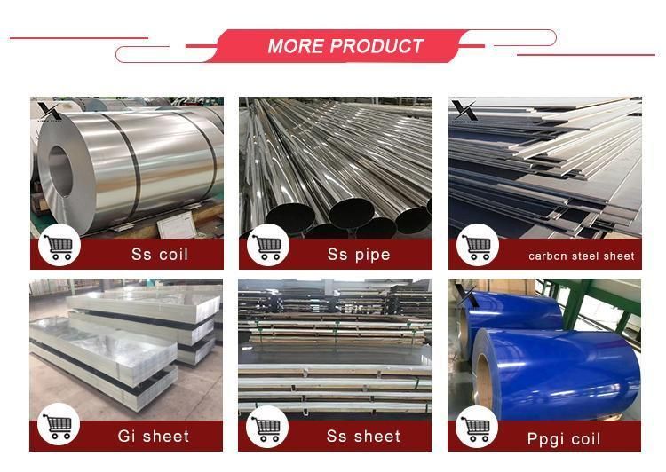 Customized Special Color Galvanized Color Steel Coil