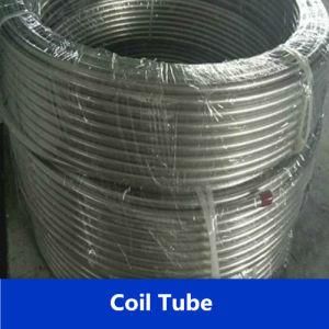 ASTM A304L Seamless Stainless Steel Coil Pipe/Piping From China