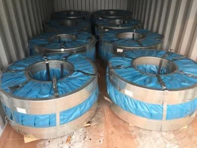 Galvanized Steel Sheet in Coil Used for Galvanized Steel Pipe