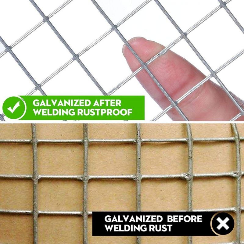 Galvanized Welded Wire Mesh PVC Coated Welded Wire Mesh Farm Fence