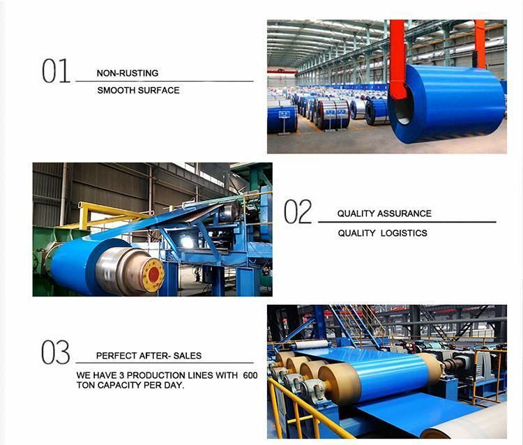 Gi/PPGI/Gl/Aluzinc/Steel Sheet Coil Steel Coil