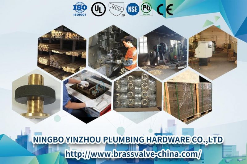 Y Seamless Stainless Steel Tube