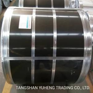 Colour Cold Rolled Roofing PPGI PPGL Steel Coil (0.12-1.5mm) for Construction