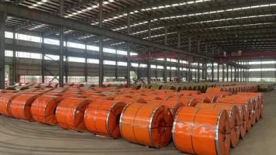 65mn Hot Rolled/Cold Rolled/Galvanized/ PPGI Steel Coils for Roofing Sheet