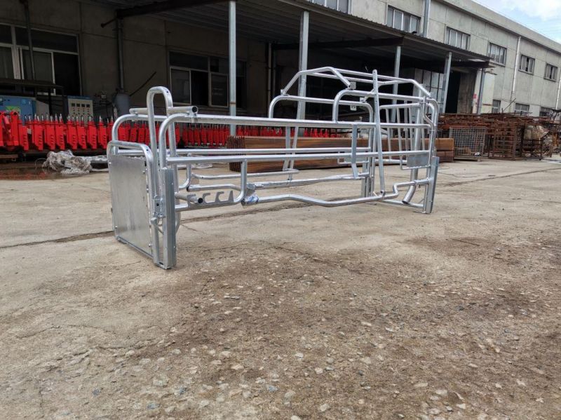 Livestock Equipment Farrowing Crate Pig Equipment for Farming