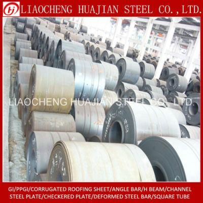 Hot Rolled Carbon Steel Coil for Building