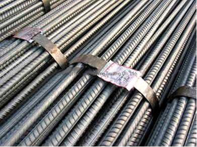 Hot Rolled Deformed Steel Bar/Rebar Steel/Iron Rod for Construction