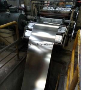 CRNGO Steel Crown Closure Tin Plate TPS Etps Tinplate for The Manufacturing of Cans