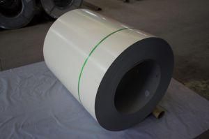 Prepainted Galvanized Coil/PPGI/Color Coated Steel Export to South America
