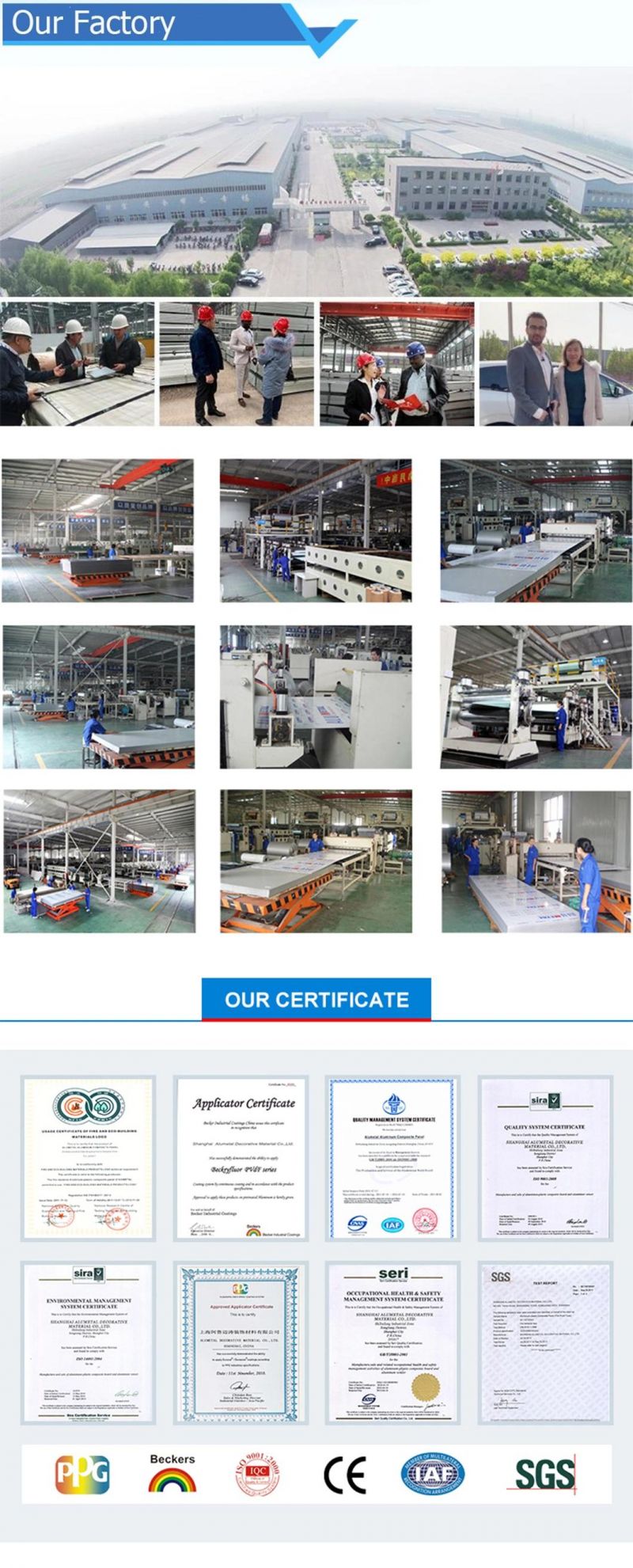 Hot Rolled/Cold Rolled 430 Ss 201 304 316 Stainless Steel Coil