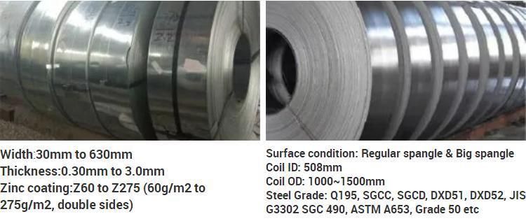 Factory Direct Dx51d Z100 Hot Dipped Galvanized Steel Sheet Coils Price