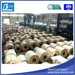 Galvanized Steel Coil with SGCC