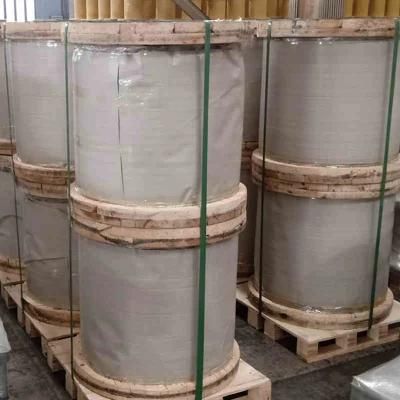 Galvanized-Steel-Wire-Strand-for-Orchard Export to Europe and America Market