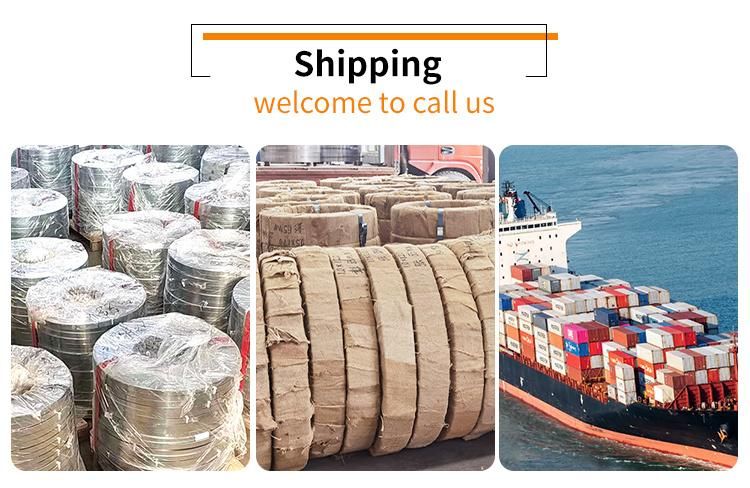 High Quality Ss Band Coil Belt 309S 420 304 304L Cold Rolled Stainless Steel Strip