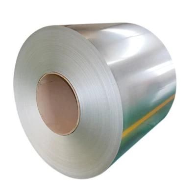 Best Sell Hot Dipped Galvanized Steel Coil 0.11mm Thickness Steel Coils Sheets Galvanized Steel