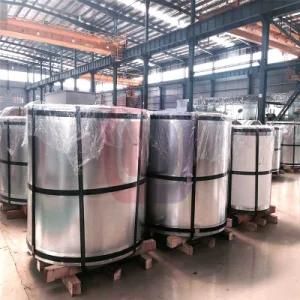 China Hot Sell Tinplate Coil