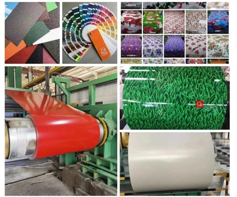 Gi Gl PPGL Zinc Double Coated Color Painted Metal Roll Paint Galvanized Zinc Coating 0.6mm PPGI