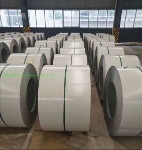 500mm Width PPGI /Color Coated Steel Coil/Strips