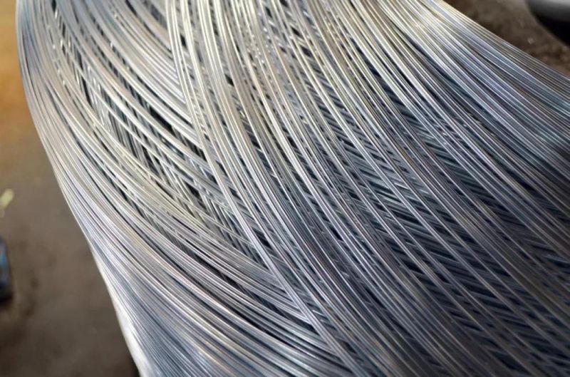 Manufacture Low Carbon Electro and Hot Dipped Galvanized Iron Wire for Fencing Wire and Binding Wire Best Price