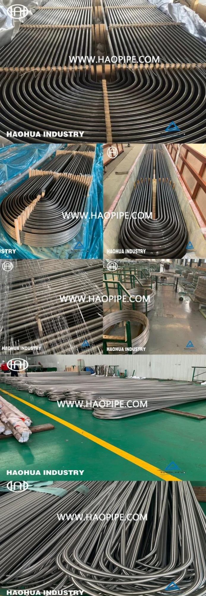 ASTM A213 TP304/316lstainless Steel U Bend Tube for Heat Exchanger