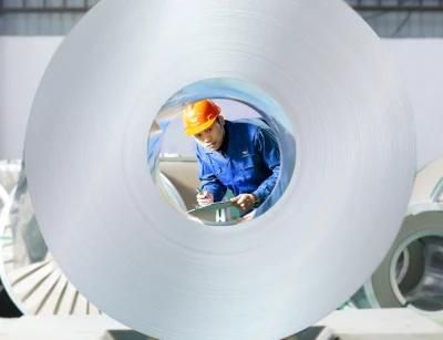 Building Material Cold Rolled/Hot Dipped PPGI/HDG/Gi/Secc Dx51 /G550/CGCC/TDC51D+Z Zinc Coated Colors Pattern Galvanized Color Coated PPGI