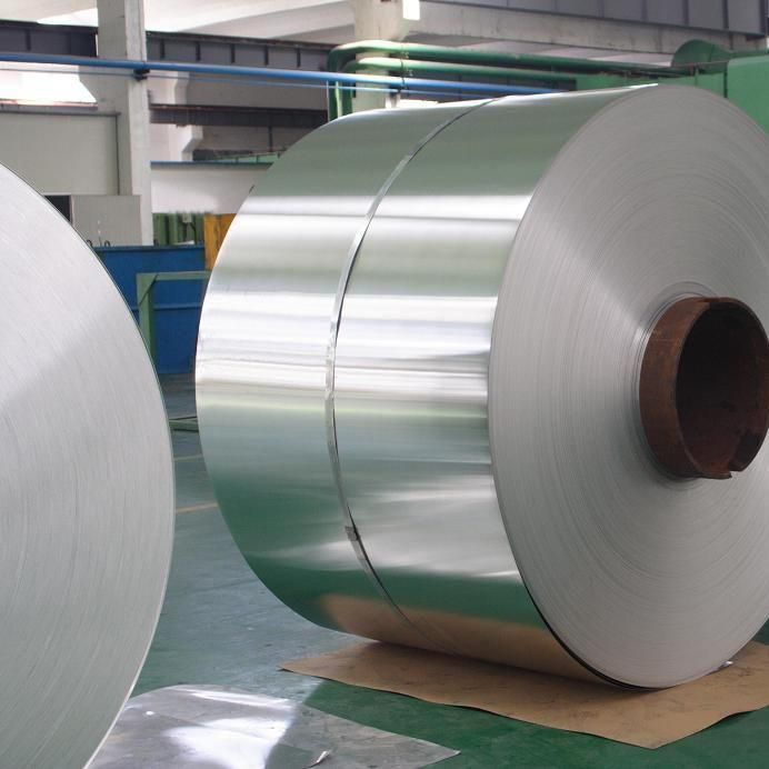 Supply ASTM/SAE/AIS I060 Steel Plate/AISI 1060 Steel Sheet/SUS316L Stainless Steel Plate