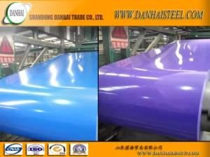 Pre-Painted Galvanized Steel Coil (PPGI)