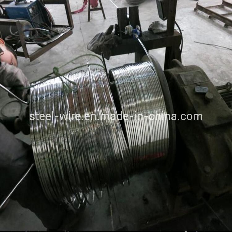 304 316 Profiled Wire Stainless Steel Wedge Wire Screen