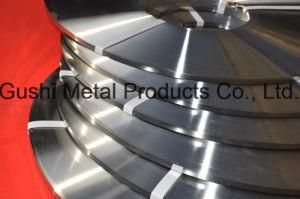 Price China Supplier Steel Strips with High Quality in Stock