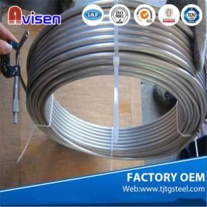 ASTM A249 269 304 Seamless Stainless Steel Coiled Tubes for Oil