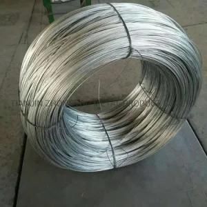 China Manufacture High Carbon Steel Galvanized Wire Binding Wire
