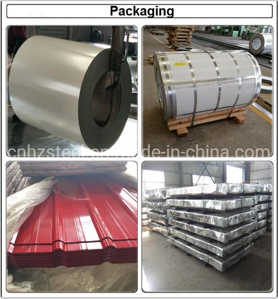 Prepainted Galvanized Steel Coil Color Coated Steel Coil PPGI