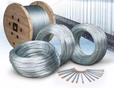 Hot Dipped Galvanized Steel Wire Factory! Q195 Q235 12/ 16/ 18 Gauge Electro Galvanized Gi Iron Binding Wire