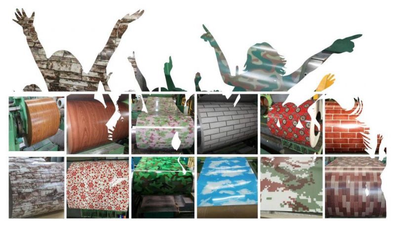 PPGI Galvanized Roofing Sheets Coils Prepainted Galvanized Steel