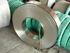 Best Price 304 303 316 316L Hot Dipped Galvanized Steel Strip for Steel Purlin
