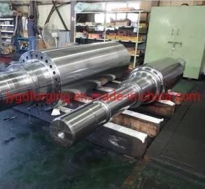 Forging 4140 Steel Long Drive Shaft/ Steel Roller Shaft