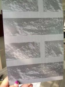 Prepainted Hdgi Iron in Plate Secondary in Stock