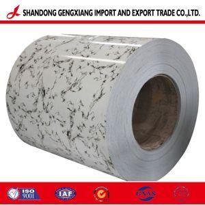 Building Material Using Professional Supplier Supply Galvanized Steel Coil PPGI