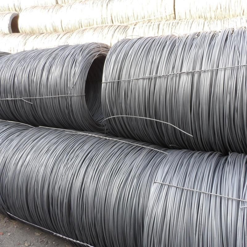 5.5mm Steel Wire Rod for Cold Drawing Nail Making and Building Material (SAE1006 SAE1008 SAE1010)