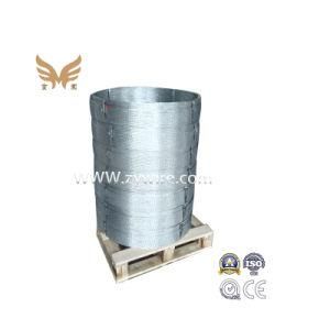 Galvanized Wire /Iron Wire /Galvanized Iron Wire for Binding