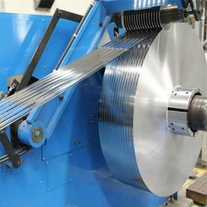 Stainless Steel Strip Precision