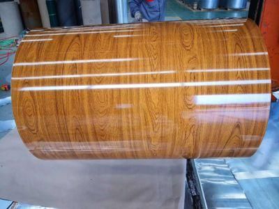 Prepainted Galvanized Steel Coil for Indoor Decoration