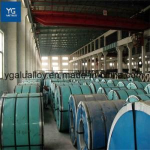 Hot DIP Galvanized Steel Coil for Export Special Width 1219mm/914mm - Zinc Free and Zinc Plated Zine