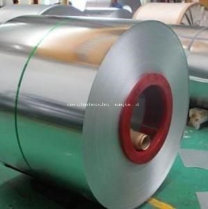 Galvanized Steel Coils/Gi