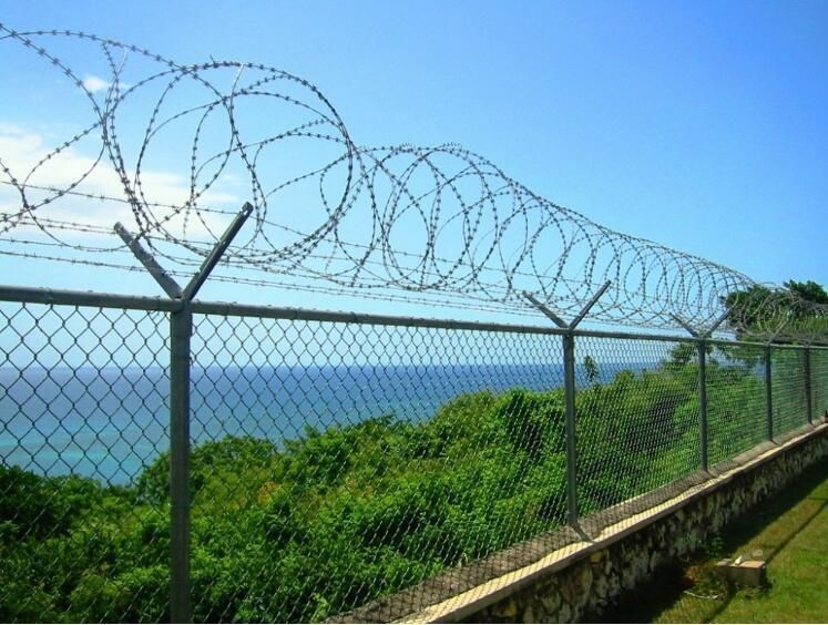 Protective Stainless Steel Barbed Wire Galvanized Steel Barbed Wire for Border/ Airport